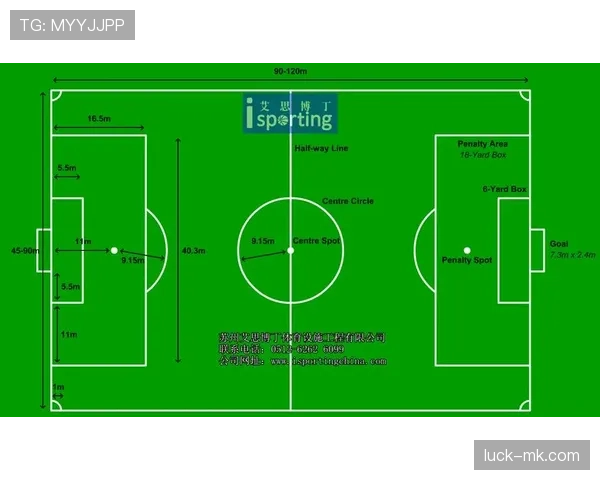 草坪场地规则拆解：标准尺寸与质量如何影响比赛判罚？