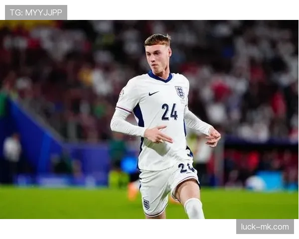 帕尔默与萨卡对比：进攻多面性与战术适配性的核心差异